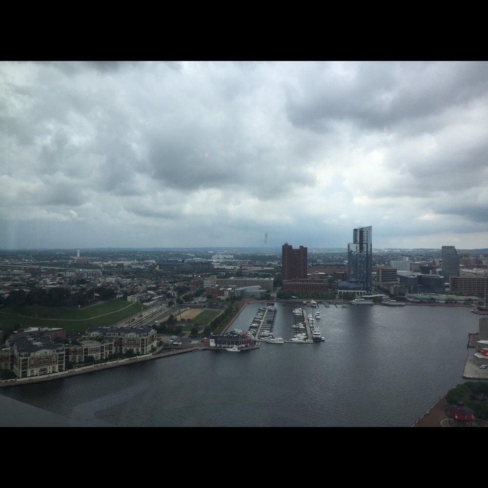 Meet your Posher, Courtney